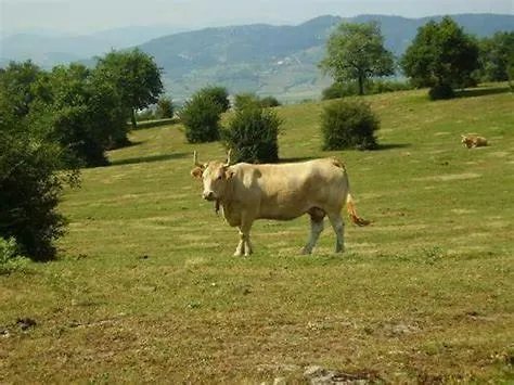 Сasa de vacaciones Villa Zikoinaren Txokoa  Orduña España