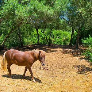 Putxet D'en Robi By Mallorca Selection , Sineu (Mallorca) España